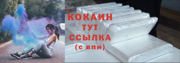 сатива Инсар