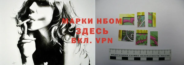 гашик Инта