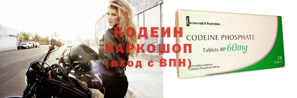 гашик Инта