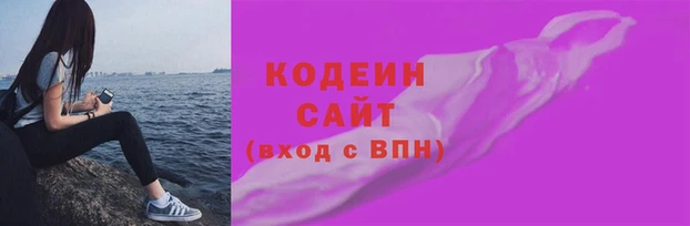 СК Иннополис