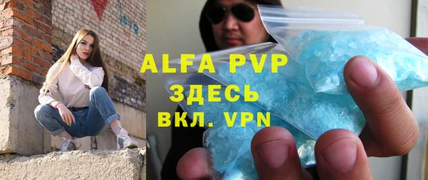 гашик Инта