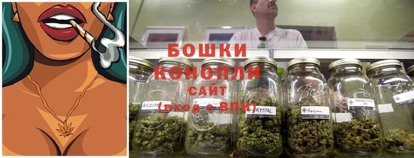гашик Инта