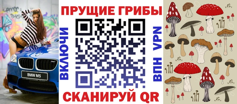 блэк спрут вход  Калязин  Галлюциногенные грибы ЛСД 